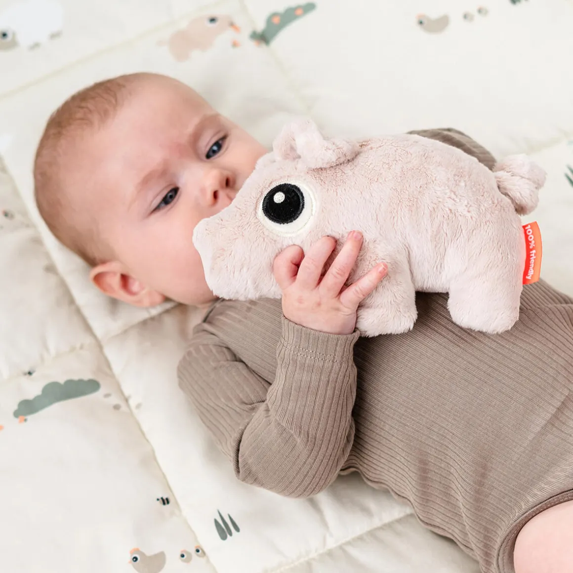 Cuddle cute - Pigee - Powder