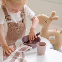 Kiddish first meal set - Powder