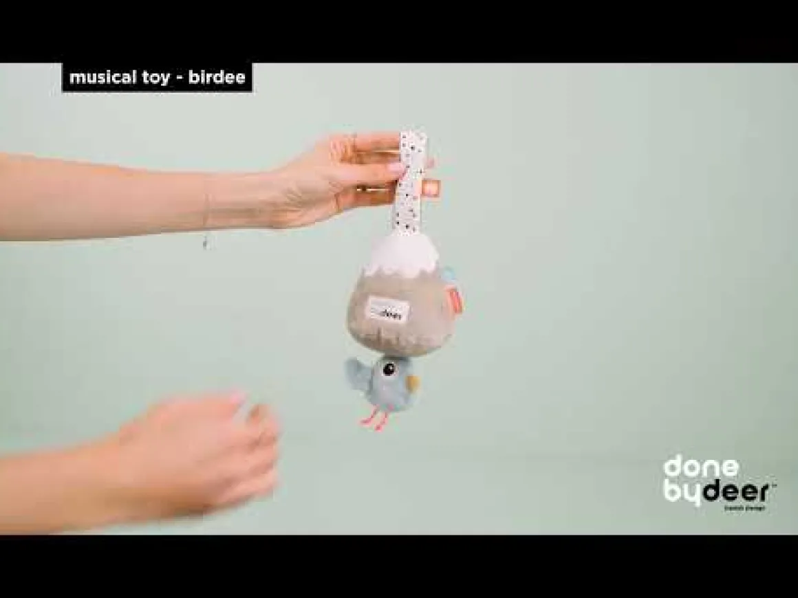 Musical toy - Birdee - Colour mix