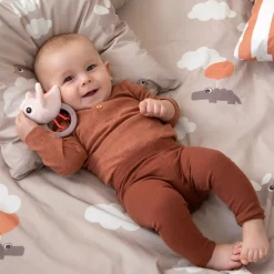 Sensory rattle w/teether - Birdee - Powder